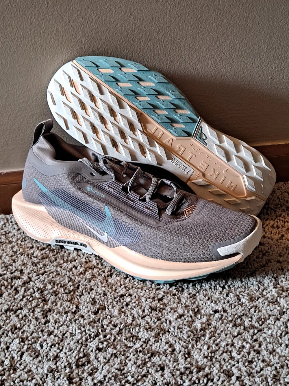 Nike Pegasus Trail 5 GORE-TEX Mink Brown Women's Size 10 - Picture 1 of 10